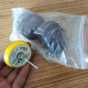 Gravür ve Matkap Uyumlu Mini Cırt Zımpara Seti Dremel Cırt Zımpara 52 Parça